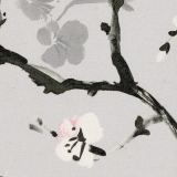 Cherry-Blossom-Serenity